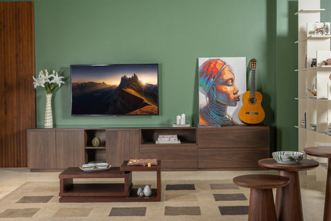 MEMPHIS TV UNIT